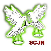 Casos SCJN